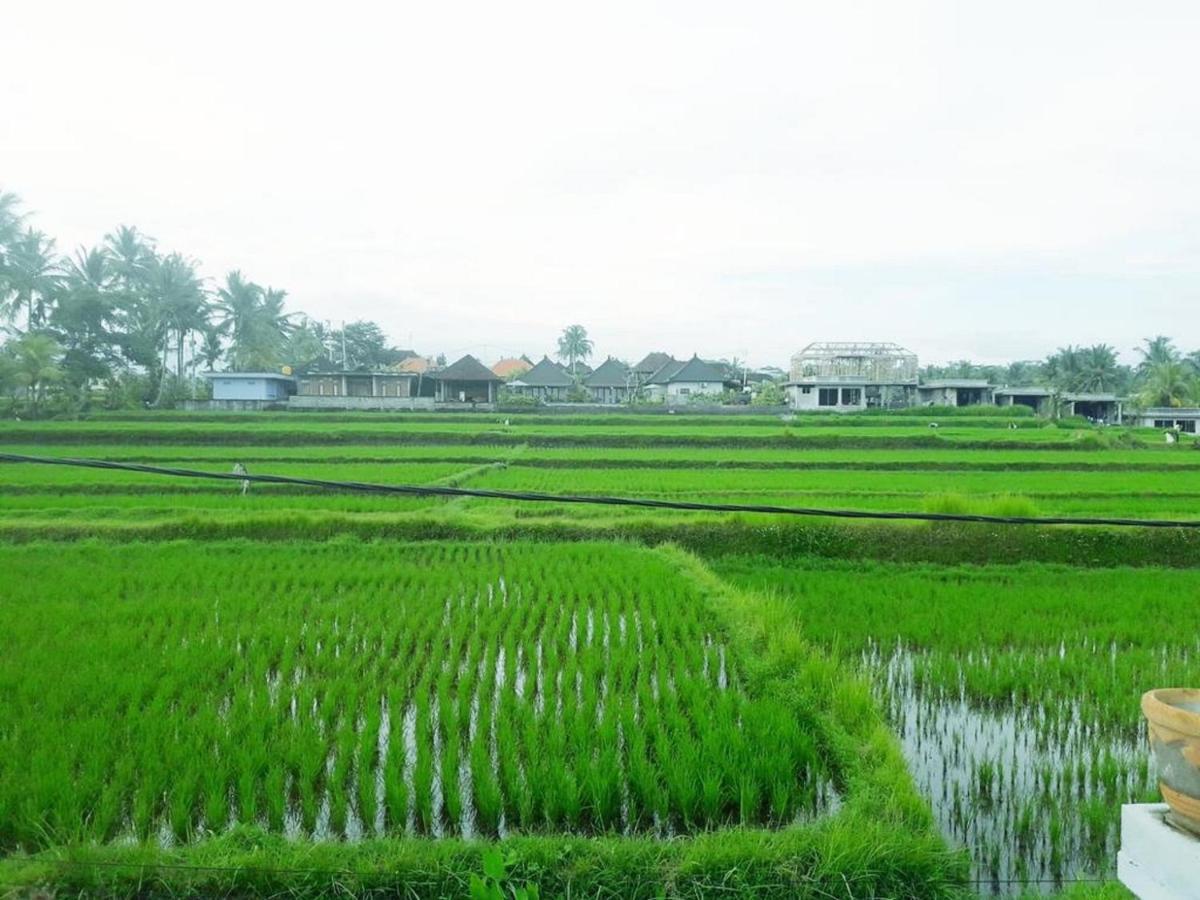Tantra House Ubud Εξωτερικό φωτογραφία